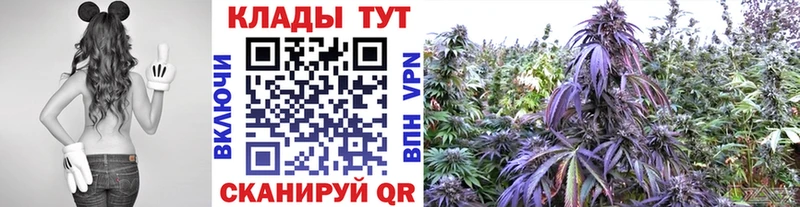 Цена Курильск A PVP  АМФ  Кокаин  ГАШИШ 