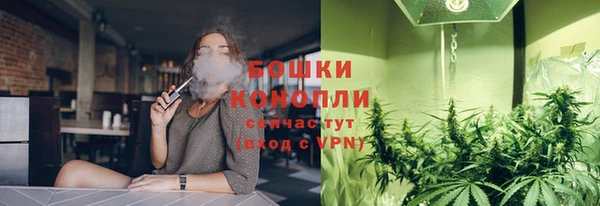 ALPHA PVP Богородицк
